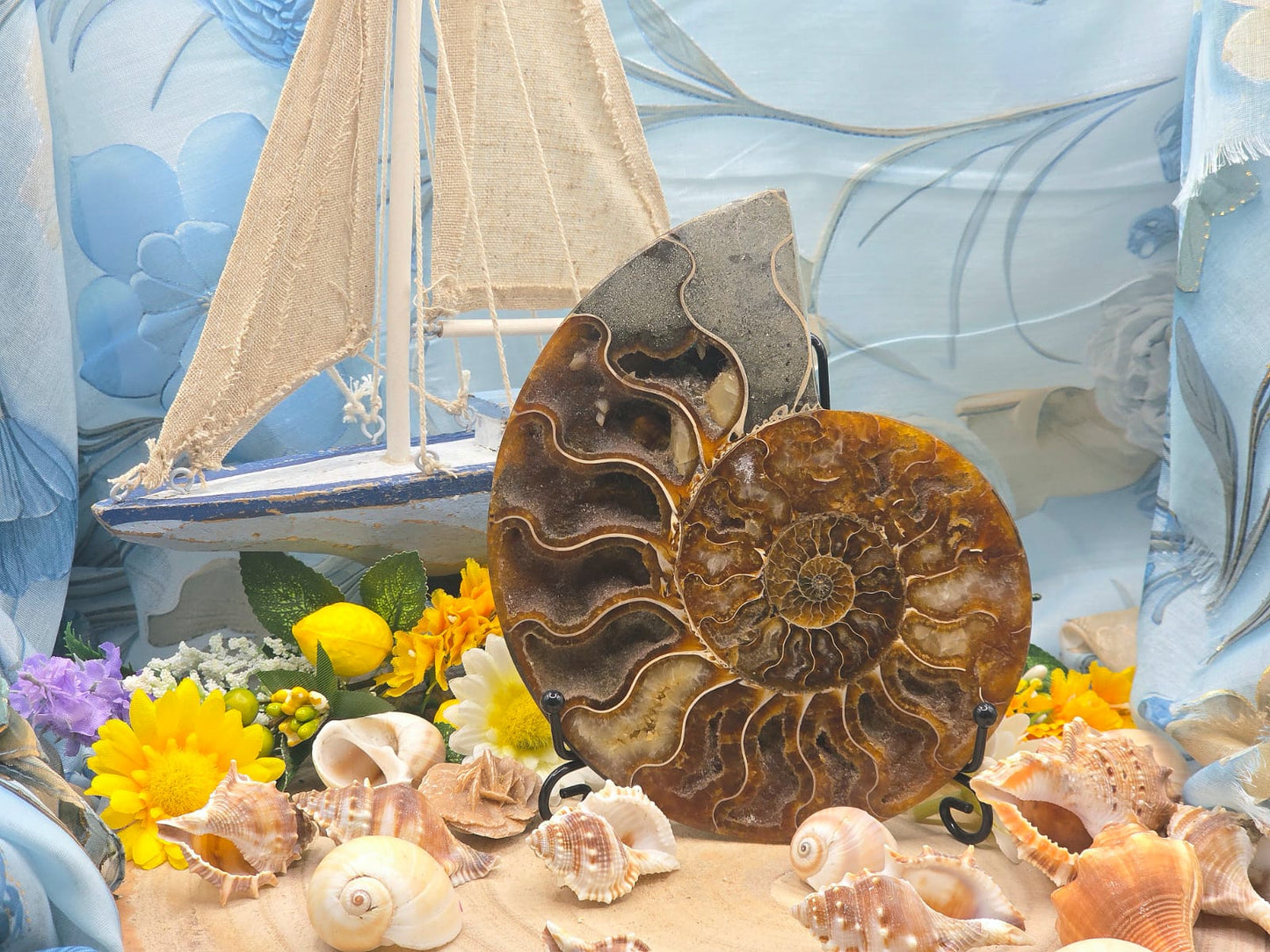 Ammonite grande naturale levigata 2