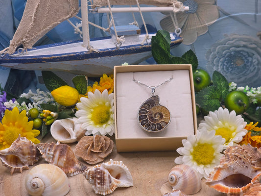 Ciondolo Ammonite naturale 2