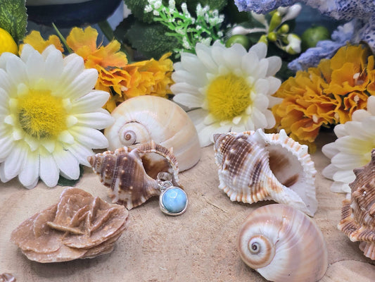 Ciondolo tondo Larimar naturale su argento 2