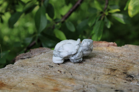 Tartaruga magnesite pietra naturale