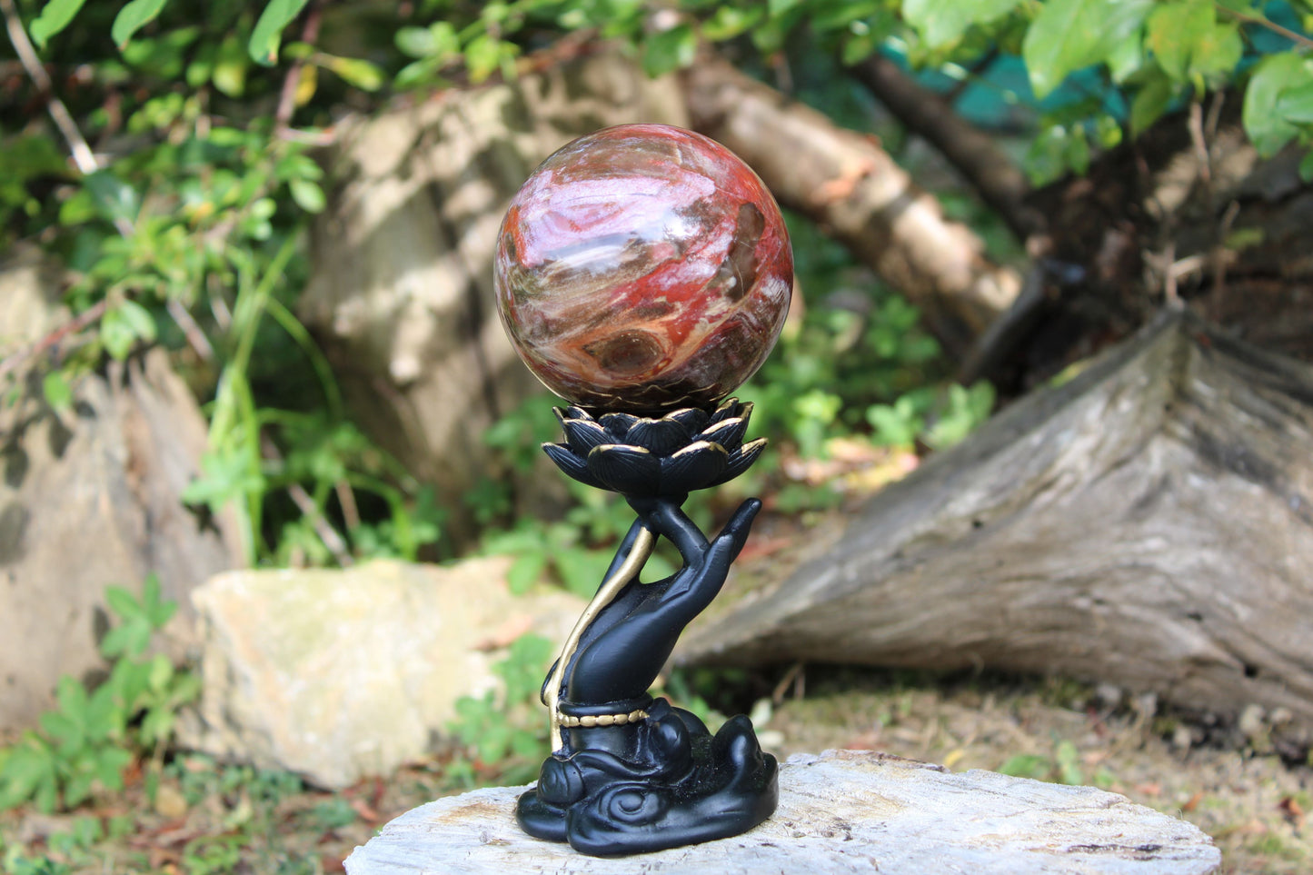 Sfera legno fossile pietra naturale