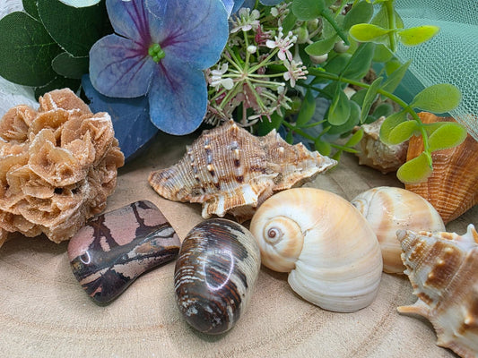 Diaspro marron beige pietra naturale burattata