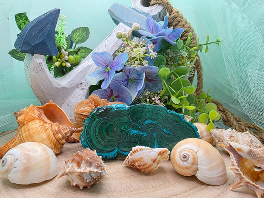 Fetta di malachite levigata naturale 10x4