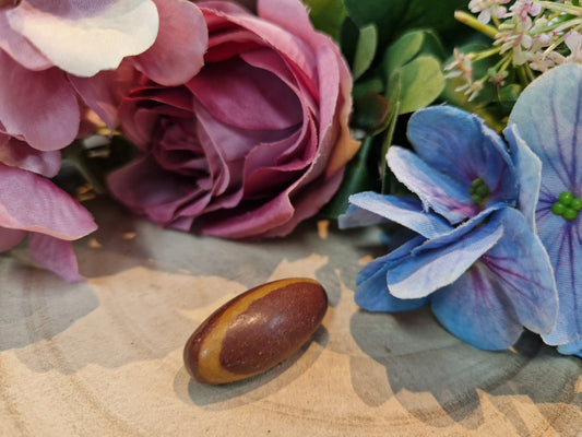 Shiva Lingam pietra naturale burattata