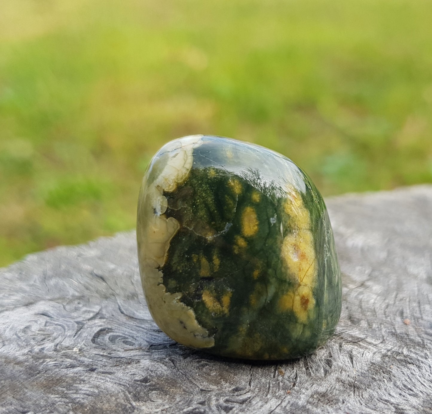 Riolite pietra burattata