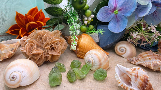 Olivina, la strada verso l’ autorealizzazione