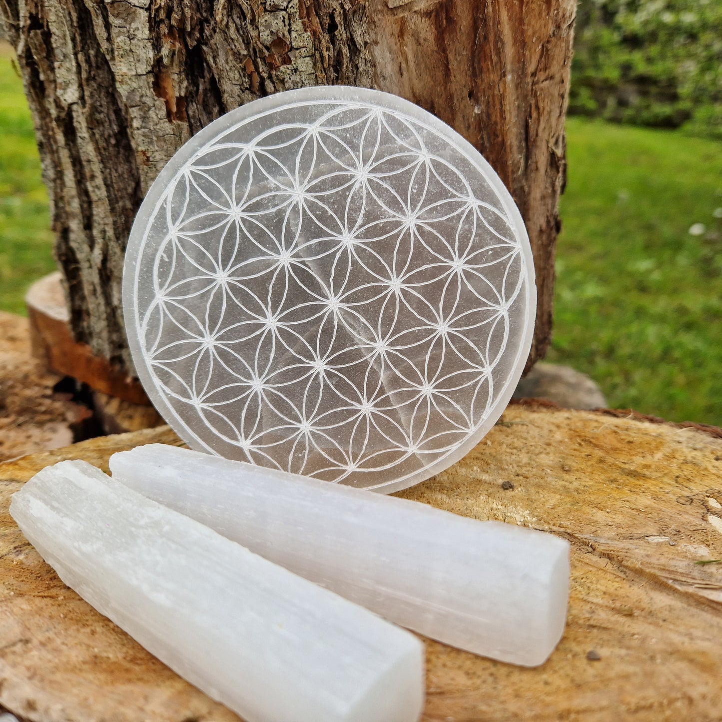 Piatto armonizzatore Selenite pietra naturale Fiore della vita