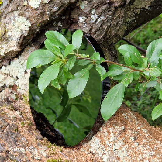 Specchio di ossidiana nera 10 cm