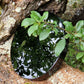Specchio di Ossidiana nera 15 cm