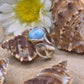 Anello Larimar piccolo pietra naturale su argento dettaglio