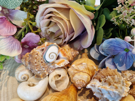 Anello Occhio di Santa Lucia in argento