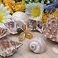 Ciondolo Ambra multicolor naturale su argento 