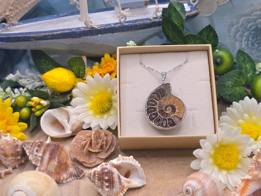 Ciondolo Ammonite naturale