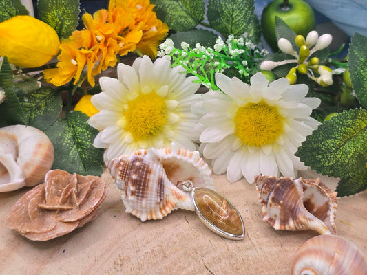 Ciondolo in Quarzo rutilato naturale e argento