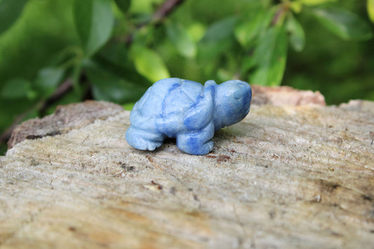 Tartaruga avventurina blu pietra naturale