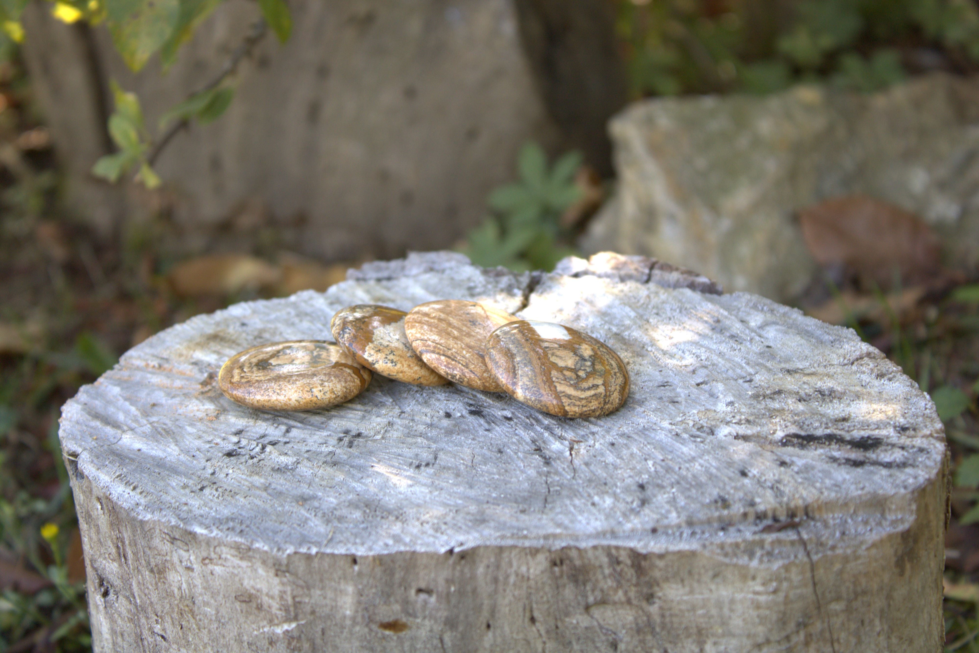 TORMALINA NERA, pietra naturale burattata – La Fenice Indaco