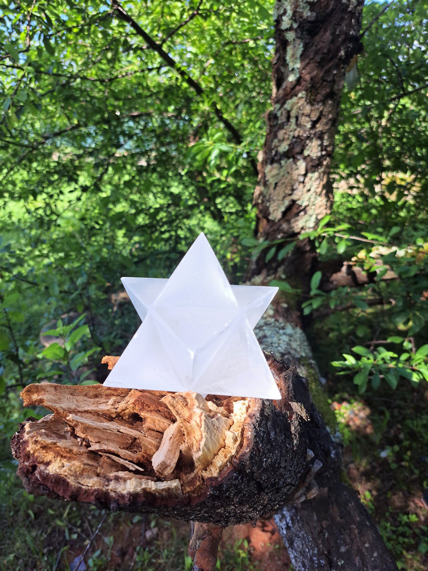 Merkaba di Selenite pietra naturale 6 punte