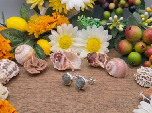 Orecchini a lobo Labradorite naturale su argento 