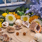 Orecchini perno 8mm Ambra naturale