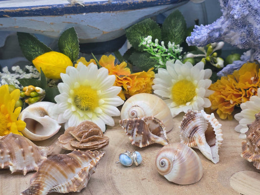Orecchini perno Larimar naturale su argento