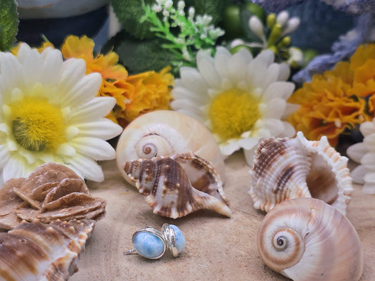 Orecchini perno Larimar naturale su argento 2