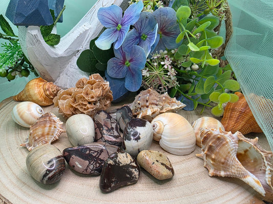 Diaspro marron beige pietra naturale burattata