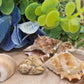 Pietra paesina naturale burattata