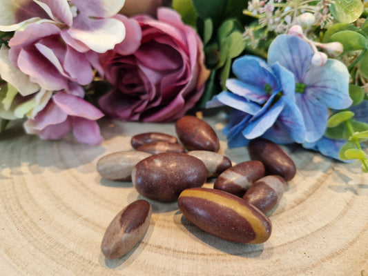 Shiva Lingam pietra naturale burattata
