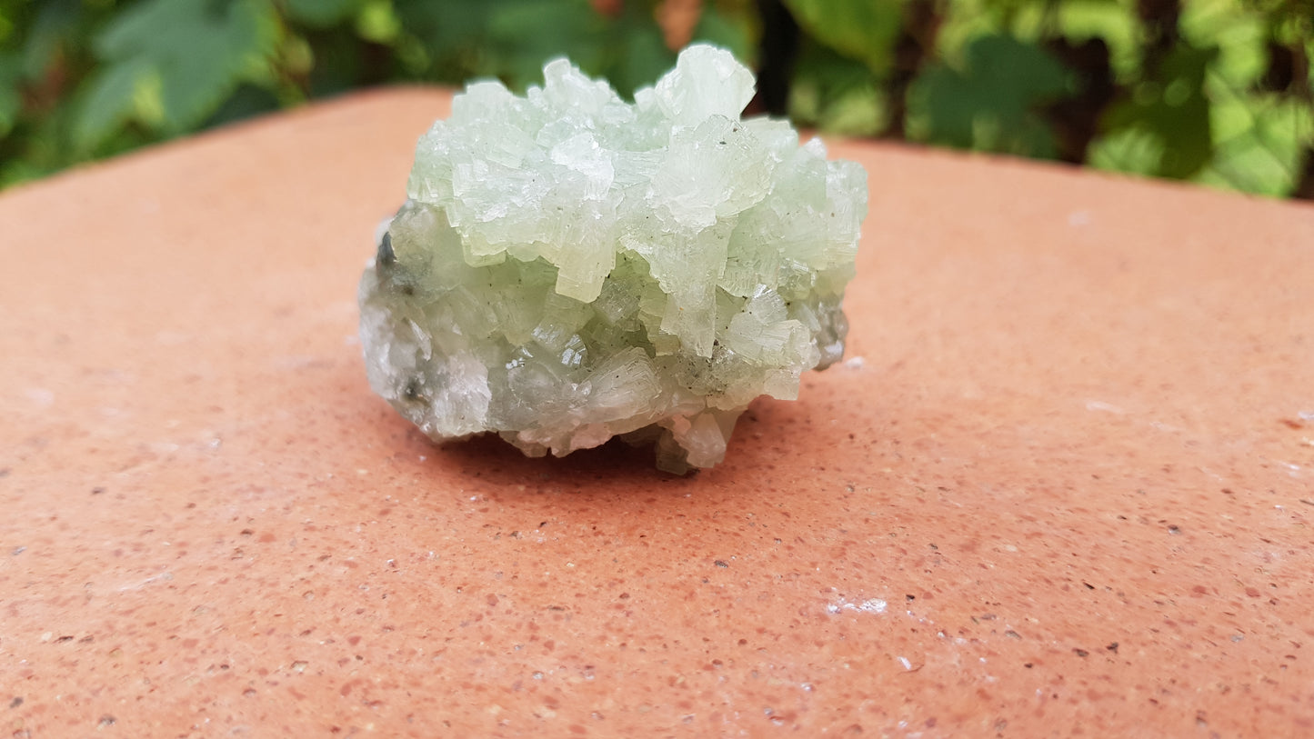 Prehnite grezza media