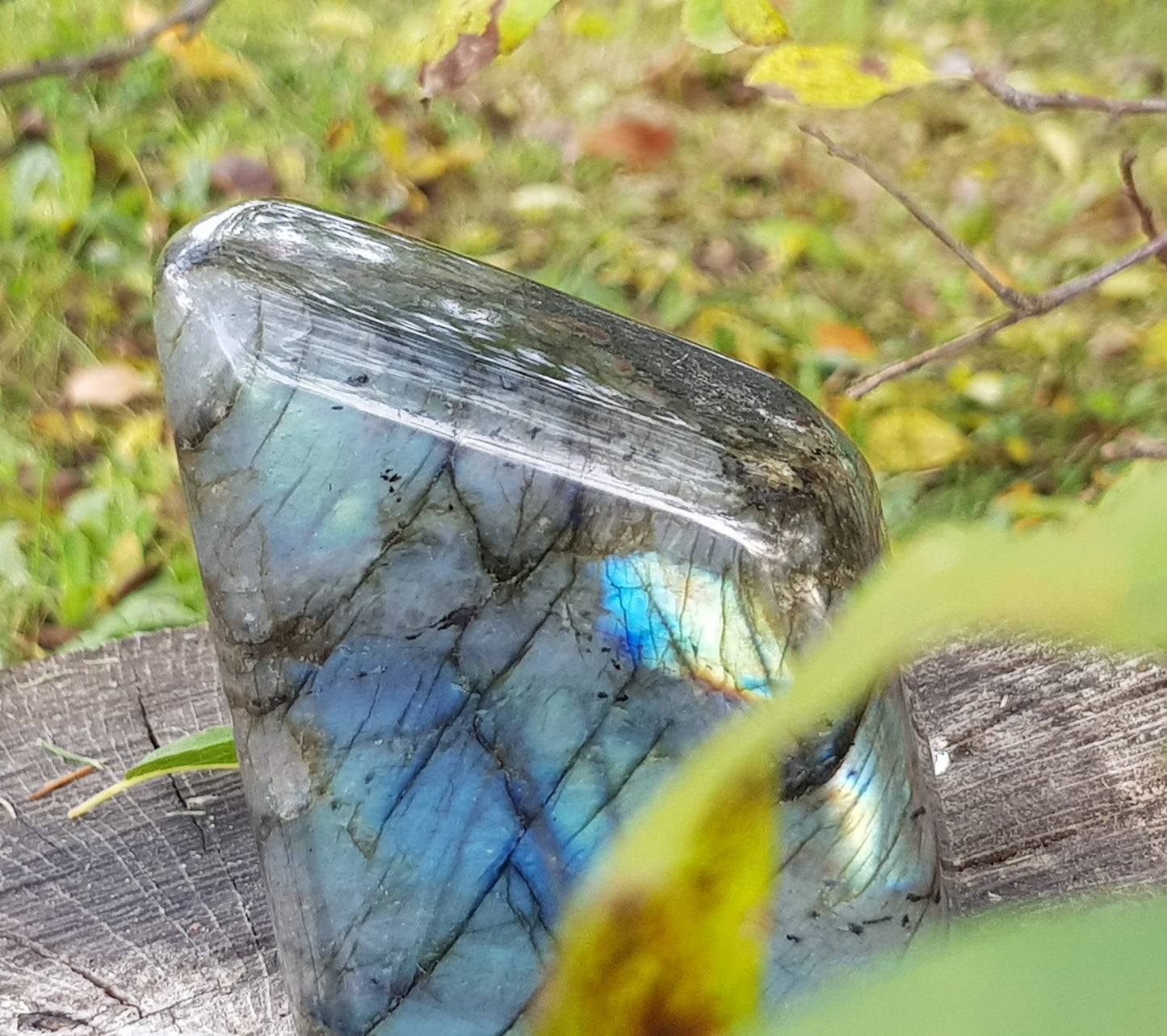 Labradorite forma libera