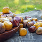 Mookaite pietra naturale burattata