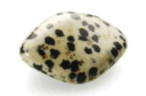 DIASPRO DALMATA, pietra naturale burattata